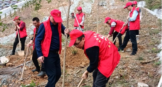 村企共建，共植先锋林