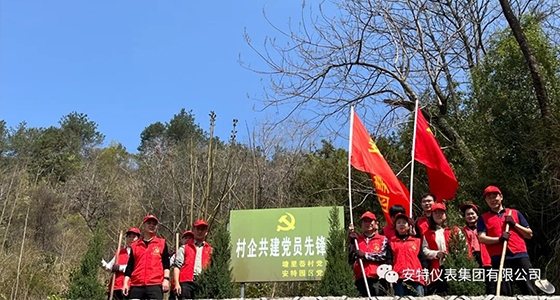 党建强引领，共植先锋林